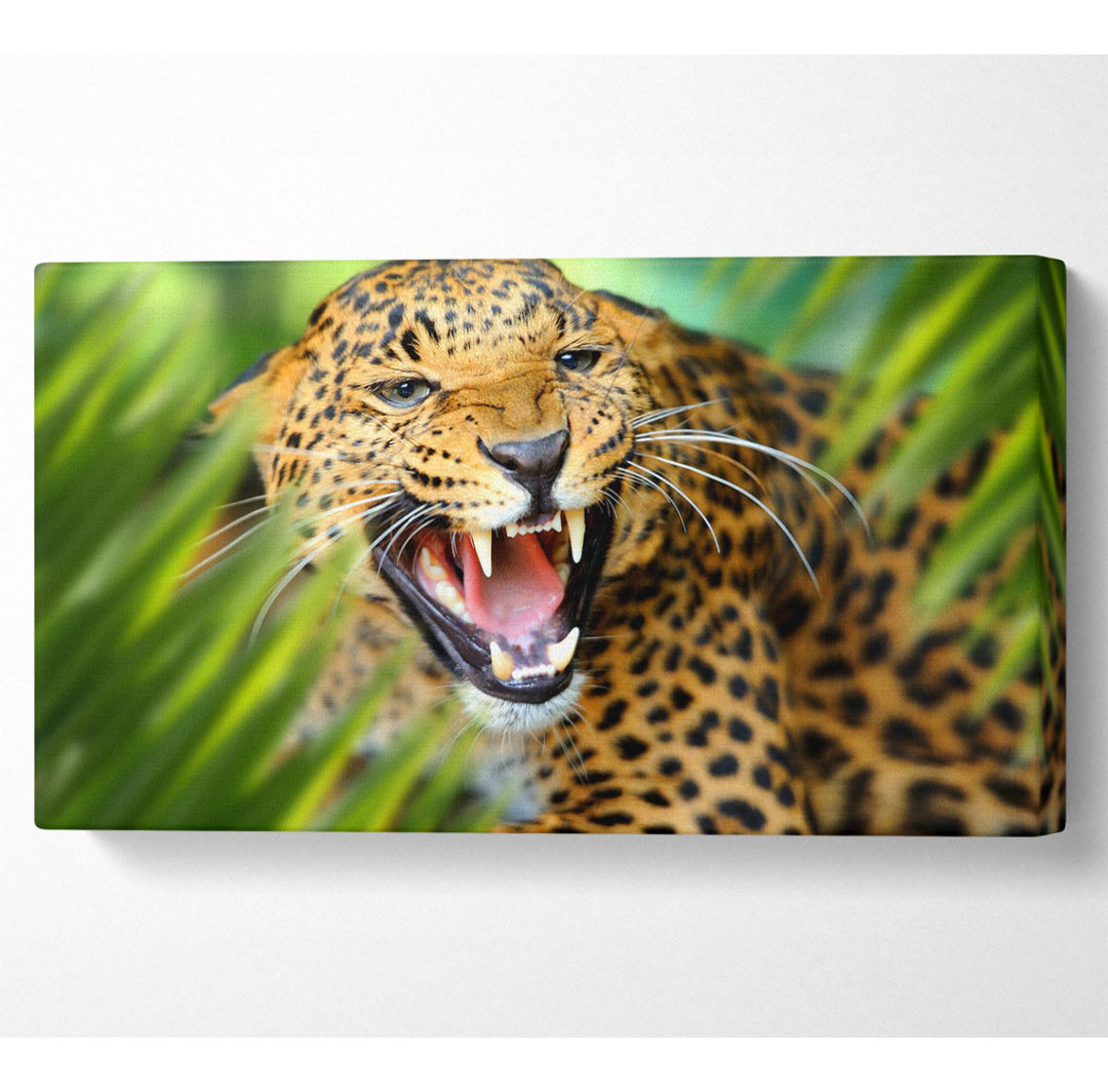 Wilder Leopard im Gras - Kunstdrucke auf Leinwand