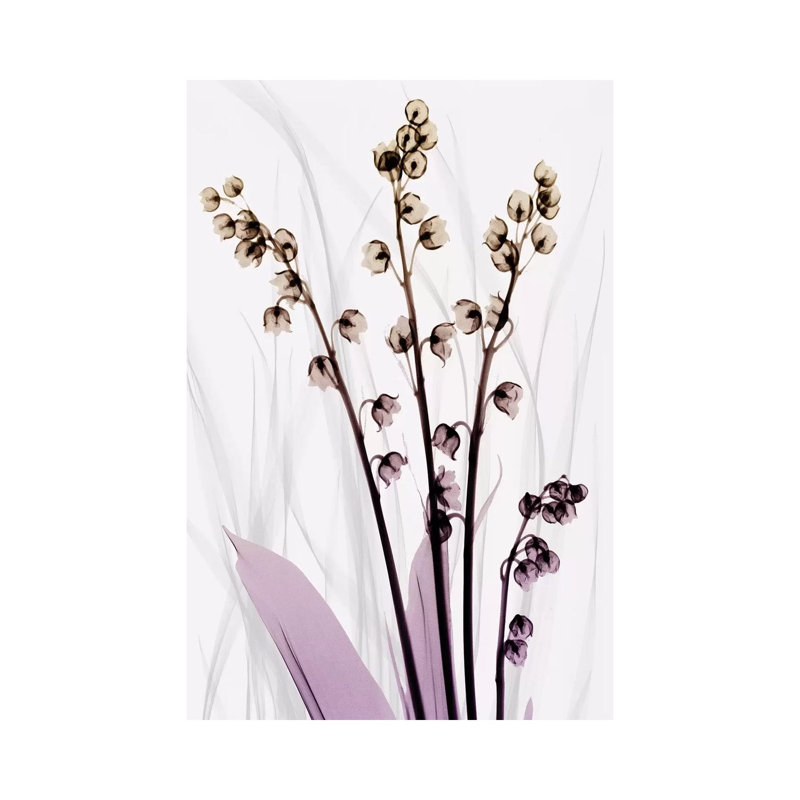 Radiant Snowdrops III by Albert Koetsier - Wrapped Canvas Print, 20.32 cm H x 30.48 cm W
