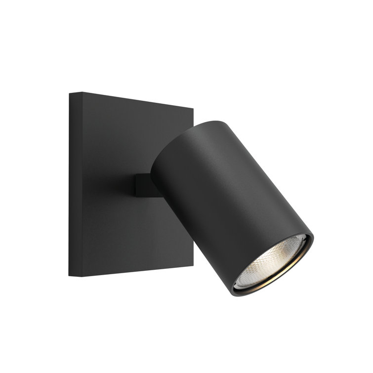 Ascoli 1 - Light Spotlight