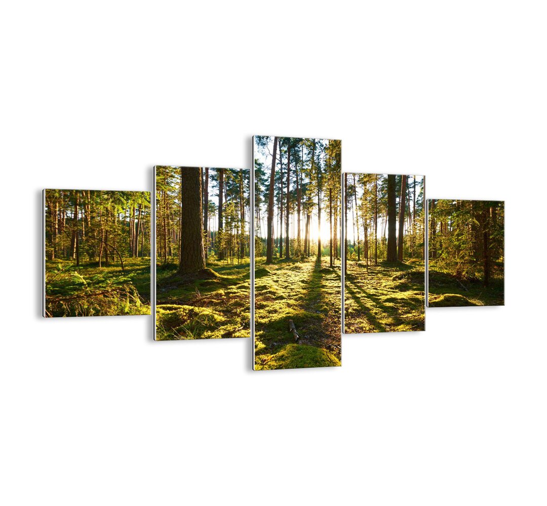 5-tlg. Glasbilder-Set - Fotografie „Behind Seven Forests”