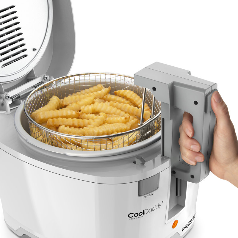 Friteuse professionnelle, blanc