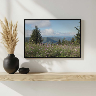 View from Mt. Mitchell by Lori Deiter Art Print