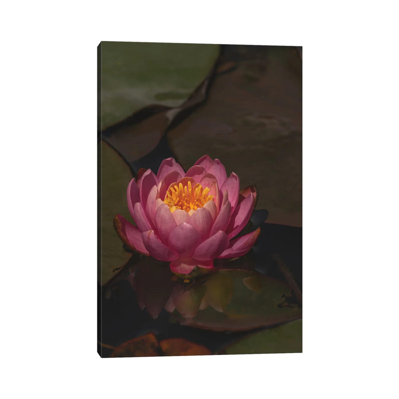 Water Lily by Louis Ruth - Wrapped Canvas Painting, 66.04cm H x 45.72cm W x 1.91cm D