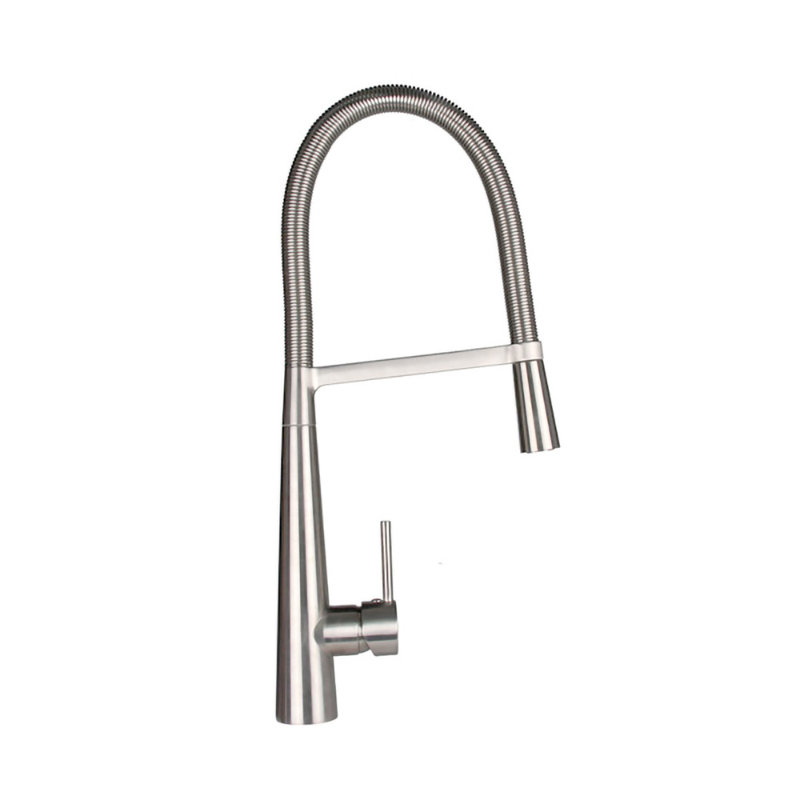 Belfry Kitchen Alessia Kitchen Faucet
