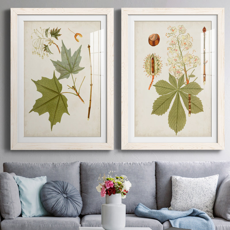 Antique Leaves VII - ensemble de 2 reproductions d'art sur papier encadré, H 31,5 po x l 47 po x P 1,5 po
