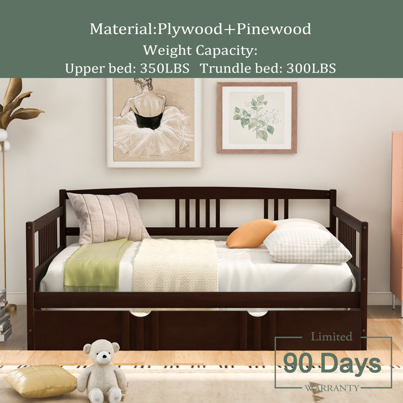 Puspha Daybed, Espresso