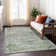 Machine Washable Indoor/Outdoor Xhevrie Aloe Rug