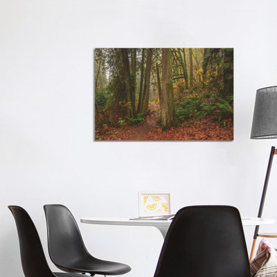 A Fairytale Like Forest 1 Piece Wrapped Canvas Wall Art