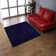 Sanford Hand Tufted Shag Polyester Eco-Friendly Area Rugs - Blue Color, Plain Solid Design, High Pile Thick Handmade Anti Skid Area Rugs for Living Room, Bed Room