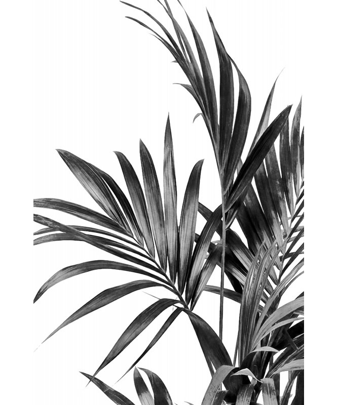 Wrapped Canvas Print, 76.2 cm H x 50.8 cm W