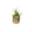 Succulents Arrangement in Glass Wood Planter