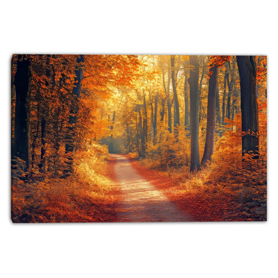 Golden Autumn Forest Path with Sunlight and Fall Foliage Wrapped Canvas Wall Art