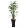 Aislin 72" Artificial Bamboo Tree in Planter