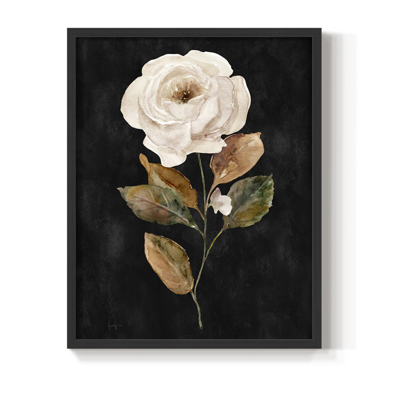 «Botanical on Black Wash II», reproduction encadrée - bois massif, H 30 po x l 24 po, Noir, noir, noir, noir