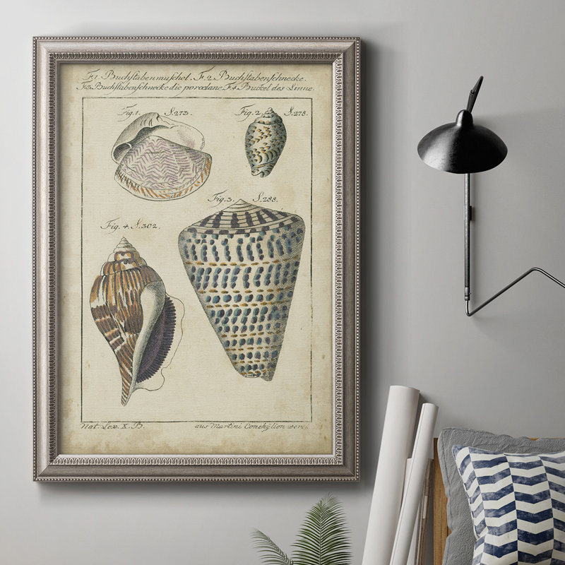 «Vintage Shell Study II», reproduction d'art sur toile encadrée, L 16 po x H 20 po
