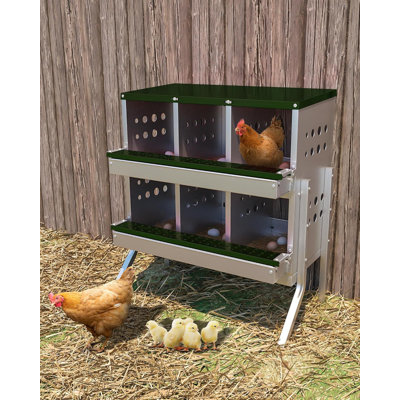 Boîte de nidification pour poules pondeuses, boîtes de poules roulantes, 6 compartiments avec pieds
