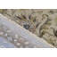 Oriental Area Rug