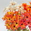4pcs Fall Artificial Chrysanthemum Daisy Flower (Set of 4)-129597797