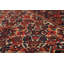 Tapis traditionnel à teinture végétale pré-1900 4 x 6