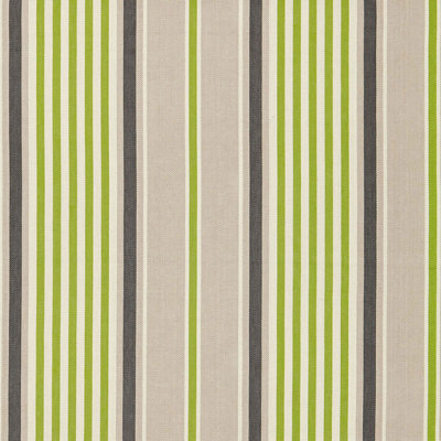 Minzer Cotton Stripe Fabric