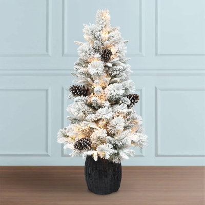 Lighted Christmas Tree