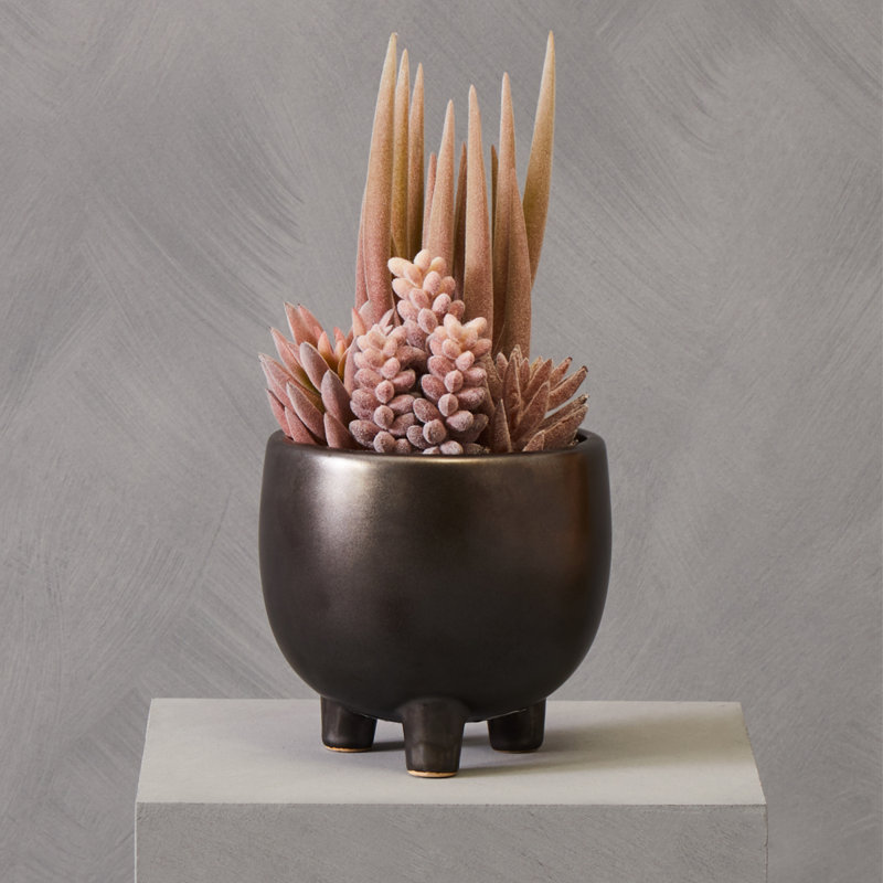 25cm Faux Succulent in Ceramic Pot