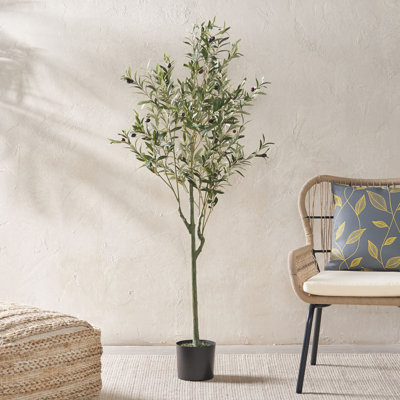 Aarav Faux Olive Tree Tree in Pot