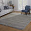  Tapis à poils longs en polypropylène gris à poils longs Ultimate Ultimate-1657923906