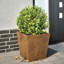 Asua Metal Planter Box-1391832524-1391832520