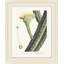 Blooming Cacti 6 Print by Nathan Turner