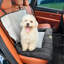 Pet Bed-61710880