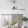 Chilton 52'' Ceiling Fan with Light Kit