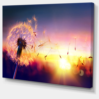 Dandelion At Sunset Freedom To Wish - Wrapped Canvas Print