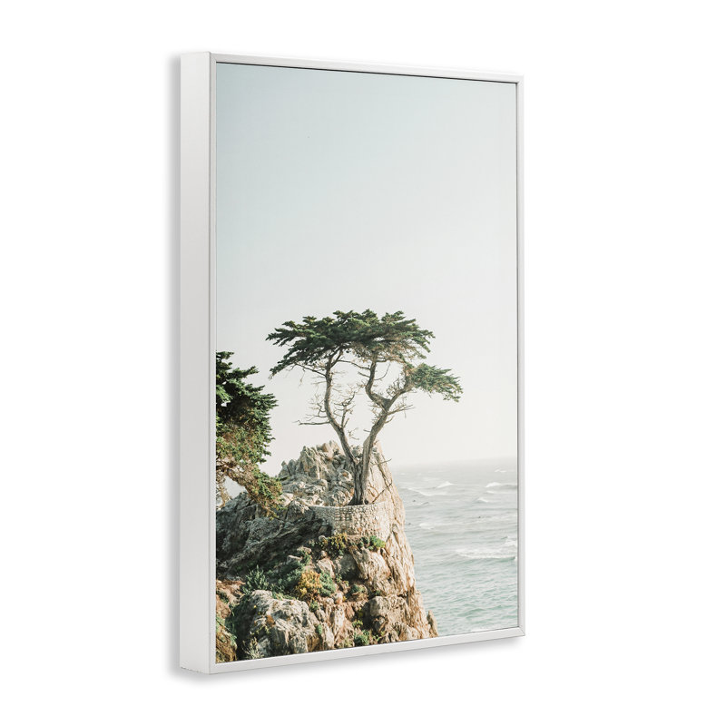 Arbre sur une falaise en bord de plage, estampe numérique par Sissi et Seb, Giclée encadrée blanc bord de mer