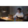 Shanelle 48'' Writing Desk
