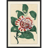 Vintage Floral 1 Painting