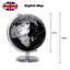 Tabletop Globe
