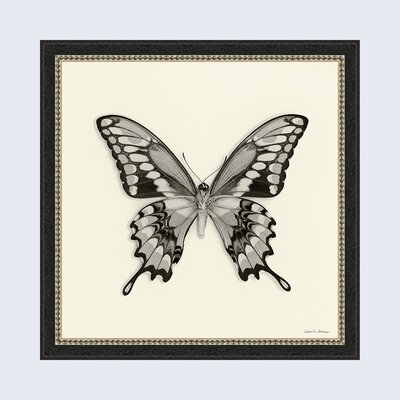 Kelly Clarkson Home Butterfly VI BW Framed On Paper Print & Reviews ...