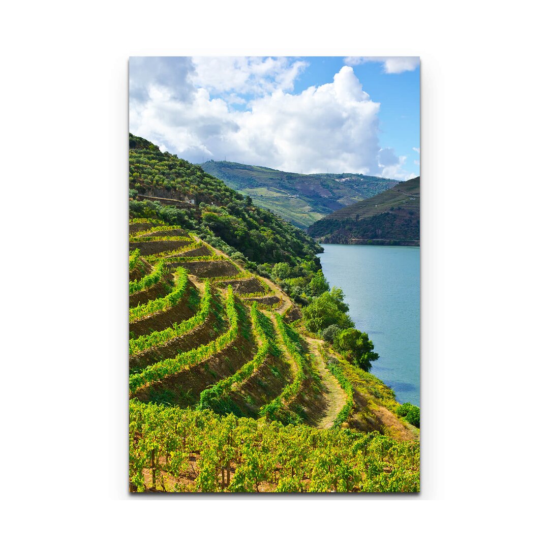 Leinwandbild Weinberge am Fluss Douro in Portugal