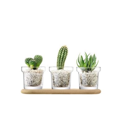 Round Glass Planter