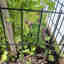 Photos des clients 1 de 1
