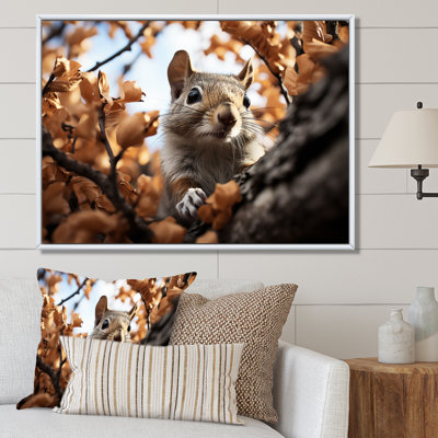 " Grey Squirrel Squirrels Antics "