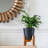 8" Contemporary Planter With Stand, 2-pack