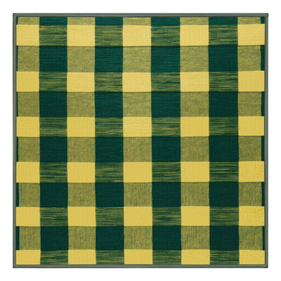 Machine Washable Checkered Green Area Rug