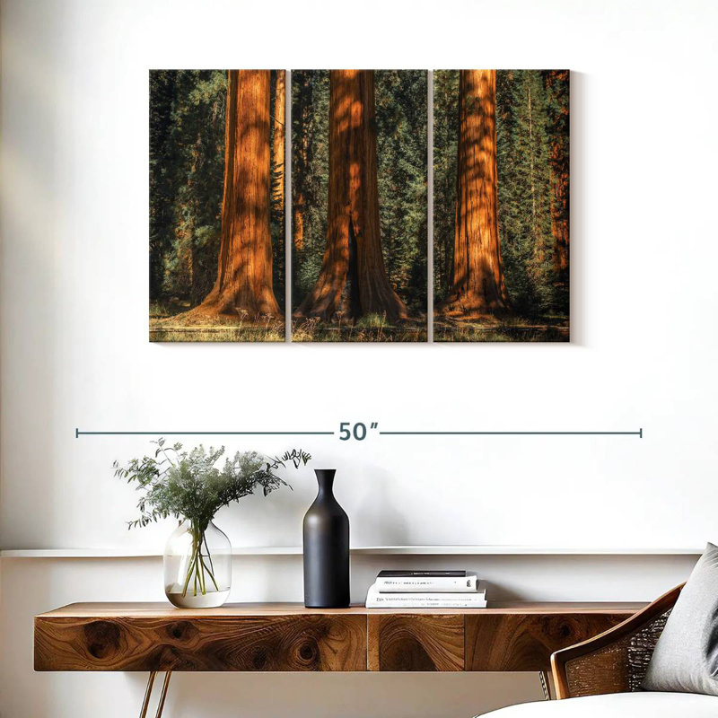 Arbres anciens du parc Harnek Sequoia, H 24 po x l 38 po