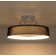 Jiren Dimmable Flush Mount LED Ceiling Fan with Remote Control