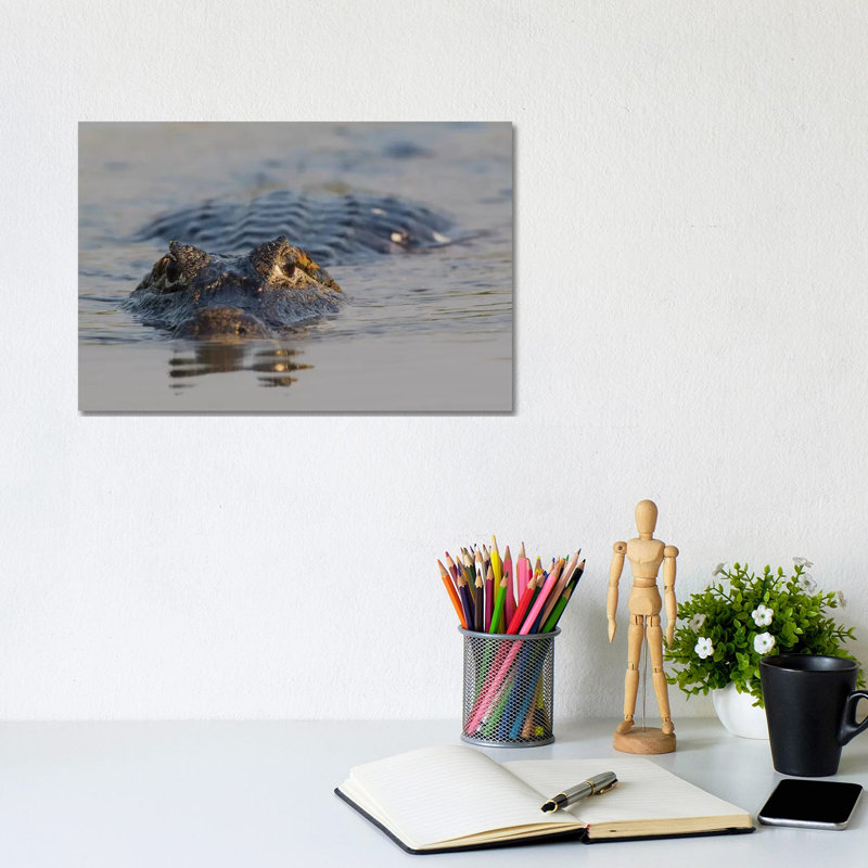 Yacare Caiman by Ken Archer - Wrapped Canvas Gallery-Wrapped Canvas Giclée, 20.32 cm H x 30.48 cm W