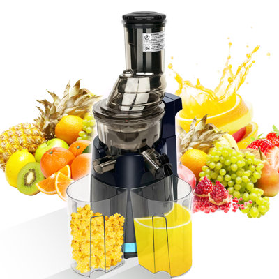  Efficient Cold Press Juicer Machine For Whole Fruits Veggies Low-speed Extractor