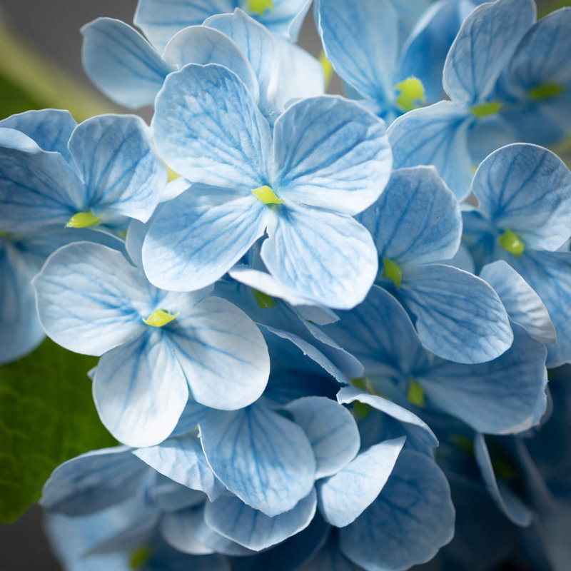 Sullivans Artificial Short Stem Hydrangea 6"L, Blue