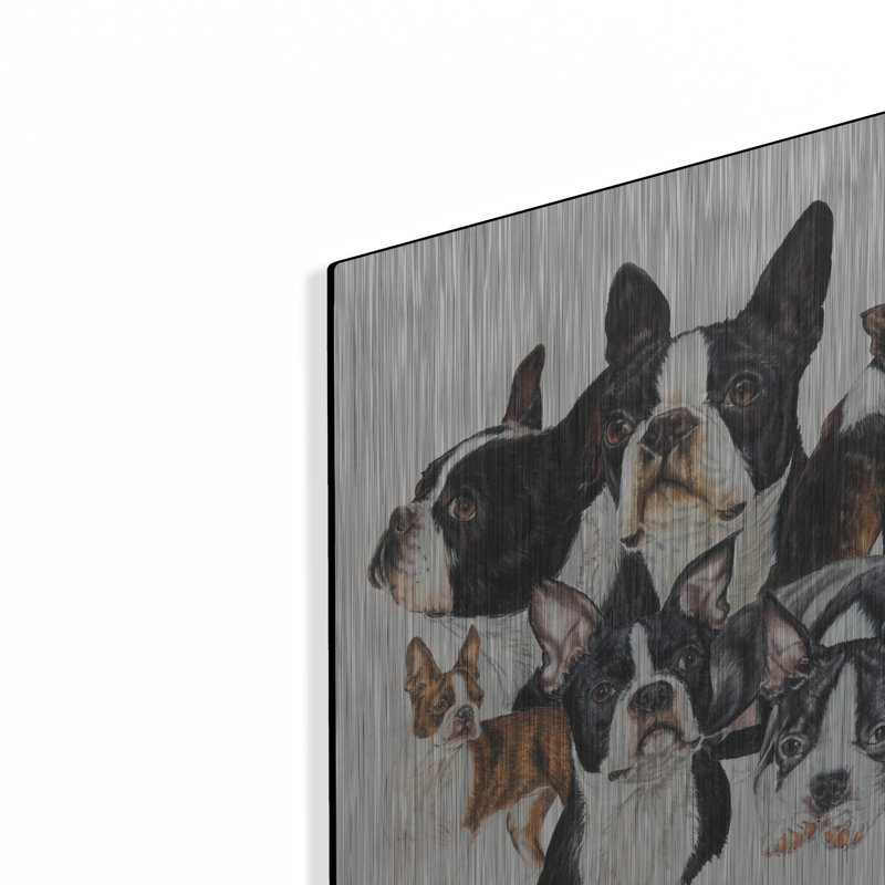 «Boston Terrier» par Barbara Keith, H 16 po x l 12 po